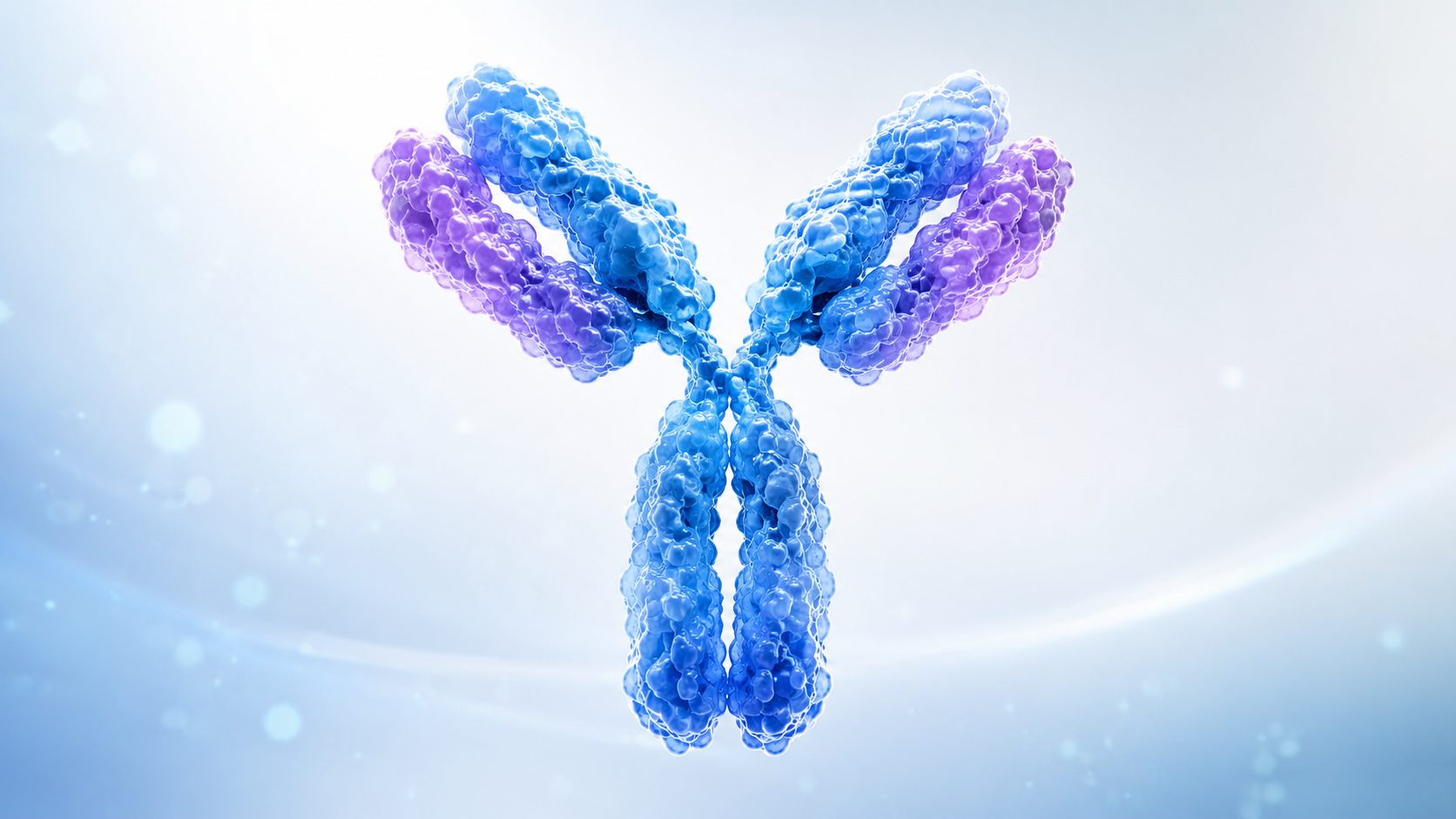 3D rendering of a Y-shaped antibody